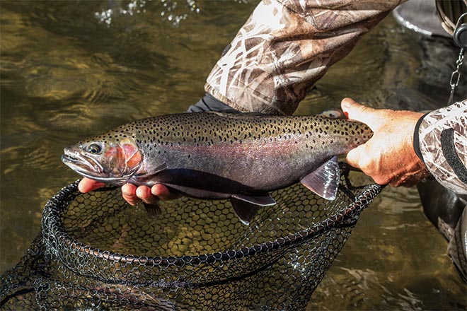 Fly Fishing Heaven