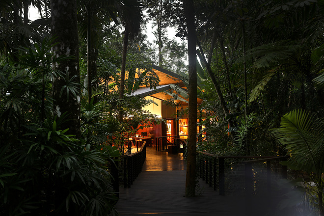 A sense of Silky Oaks Lodge