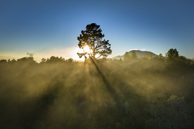Taupo, A Treasure Trove Destination